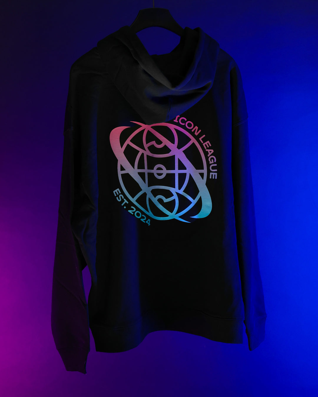Hoodie - Color Logo